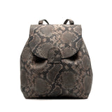 Backpack Crossbody